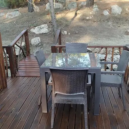 Pydnai_village * Gavuragili